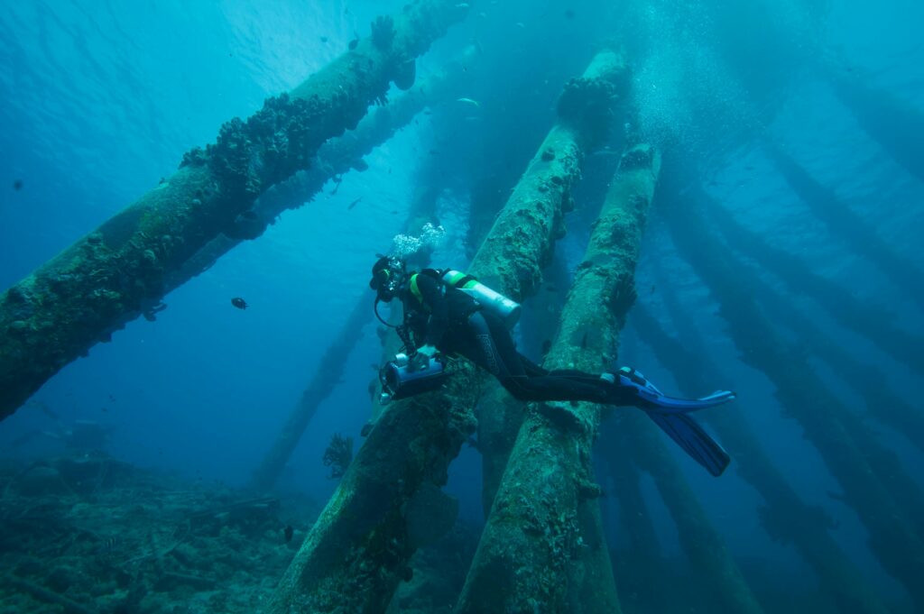 huwelijksreis Bonaire